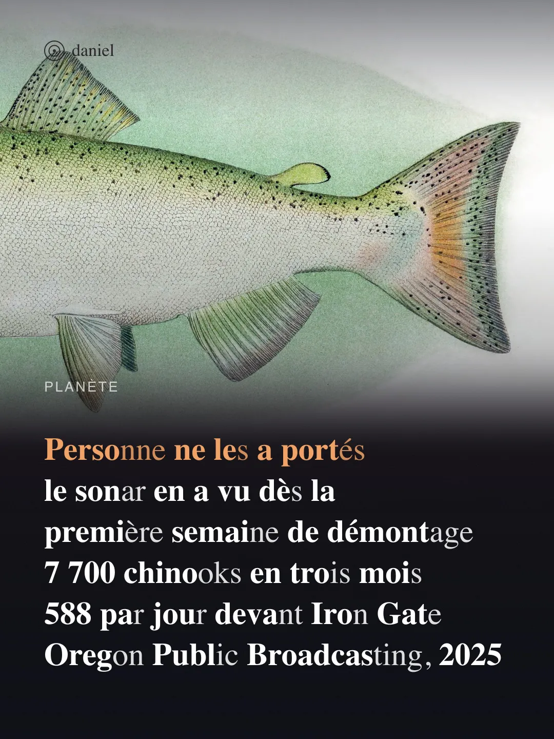 Personne ne les a portés — le sonar en a vu dès la — première semaine de démontage